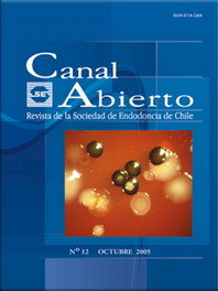 Revista Canal Abierto 12