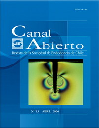 Revista Canal Abierto 13