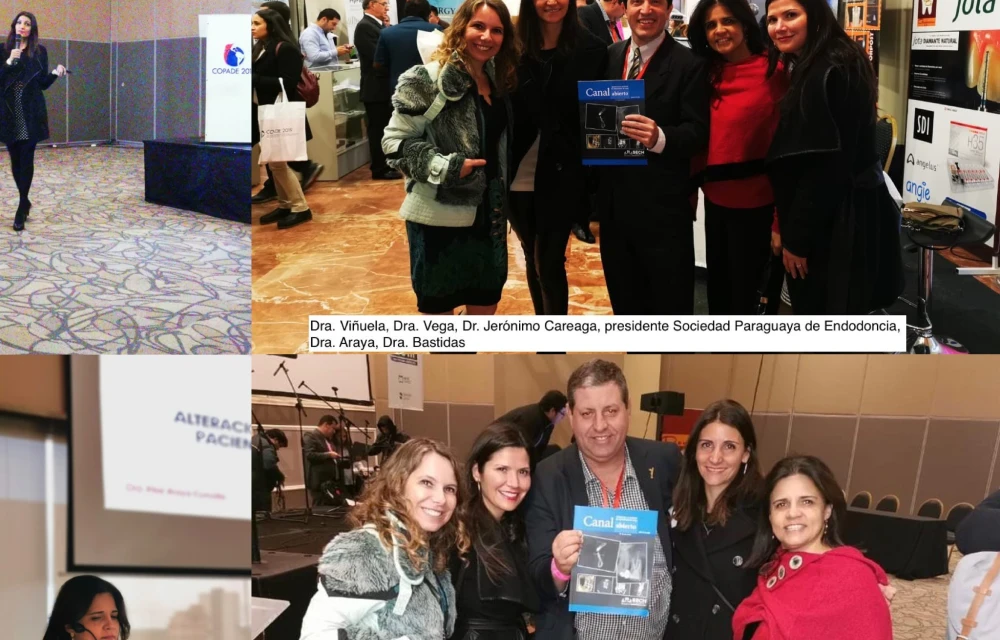 Chile representado en COPADE 2019