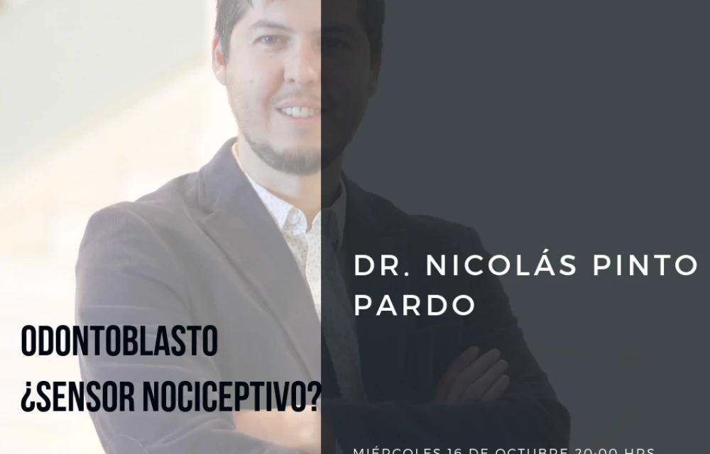 Odontoblasto, ¿Sensor Nociceptivo?
