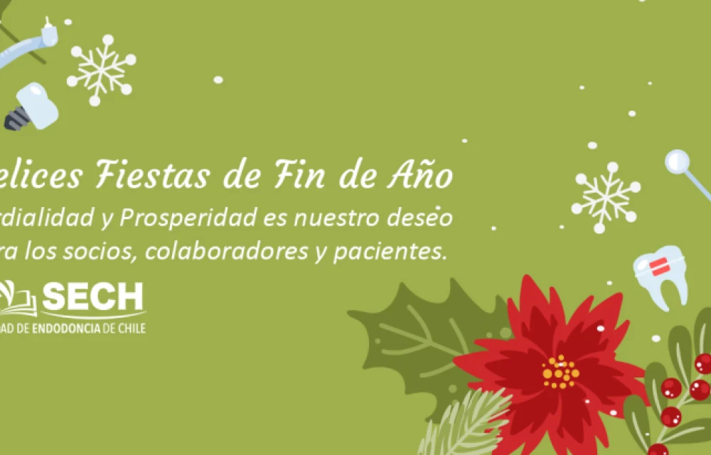 Felices Fiestas de Fin de Año
