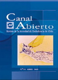 Revista Canal Abierto 11