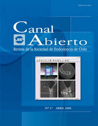 Revista Canal Abierto 17