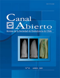 Revista Canal Abierto 19