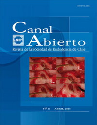 Revista Canal Abierto 21