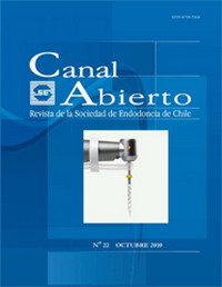 Revista Canal Abierto 22