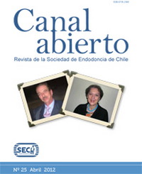 Revista Canal Abierto 25