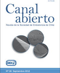 Revista Canal Abierto 26