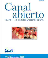 Revista Canal Abierto 28
