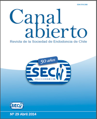 Revista Canal Abierto 29