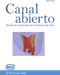 Revista Canal Abierto 30