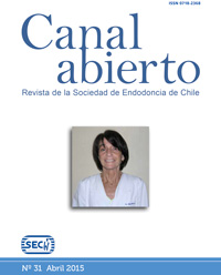Revista Canal Abierto 31