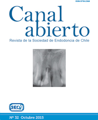 Revista Canal Abierto 32