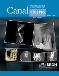 Revista Canal Abierto 39