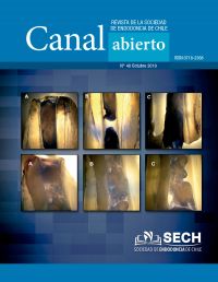 Revista Canal Abierto 40