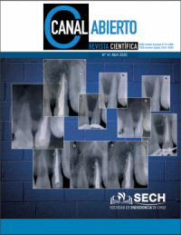 Revista Canal Abierto 41