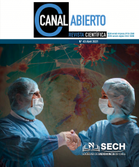 Canal Abierto Número 43