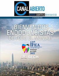 Canal Abierto Número 46